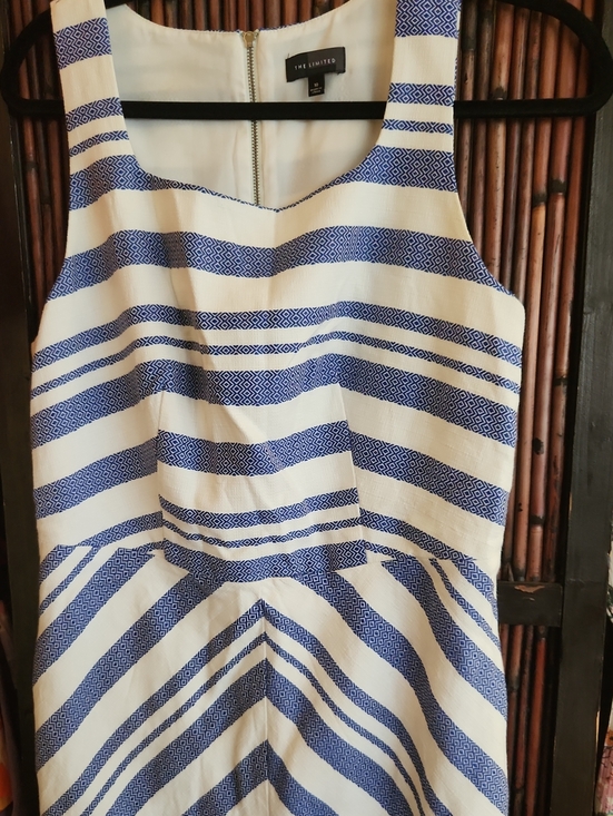 The Limited Dresses & Skirts - The Limited White and Blue Striped Fit & Flare Dress